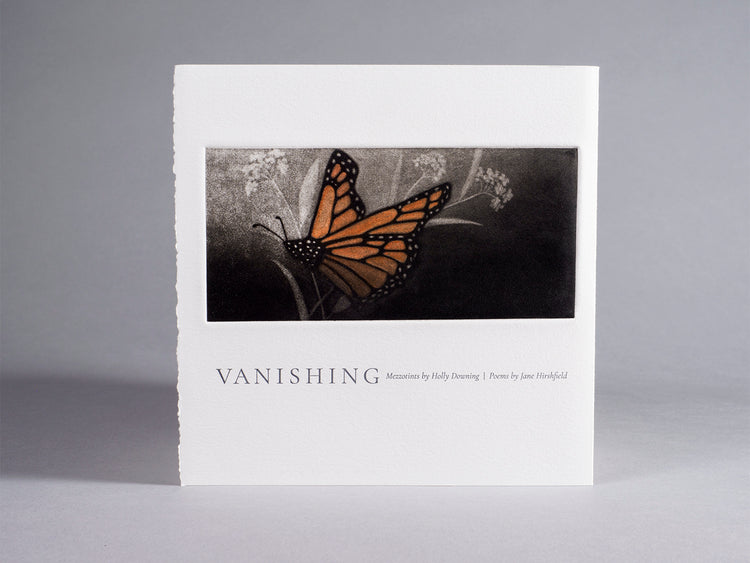 Vanishing