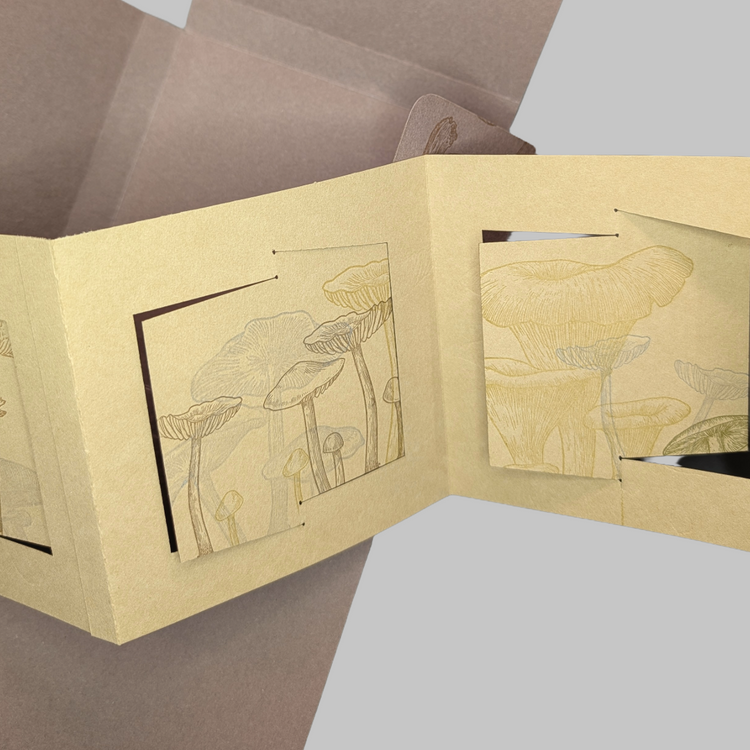 Fieldwork:Madames of Mycology