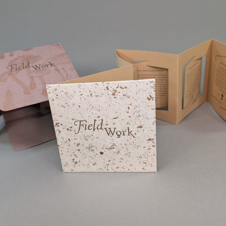 Alpers Fieldwork Accordion Book 