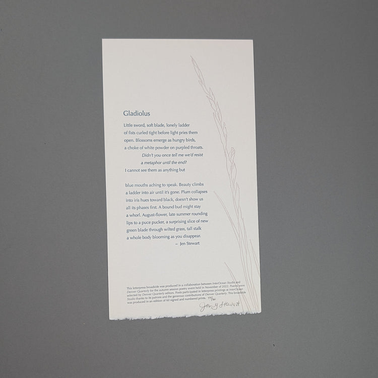 Gladiolus Broadside by Jen Grace Stewart