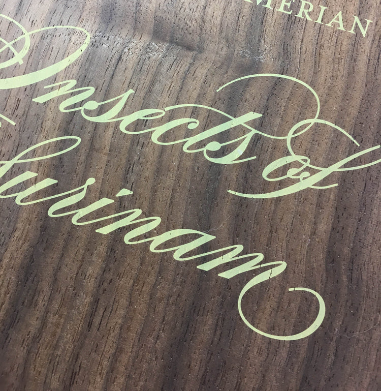 Insects of Surinam | Rebinding