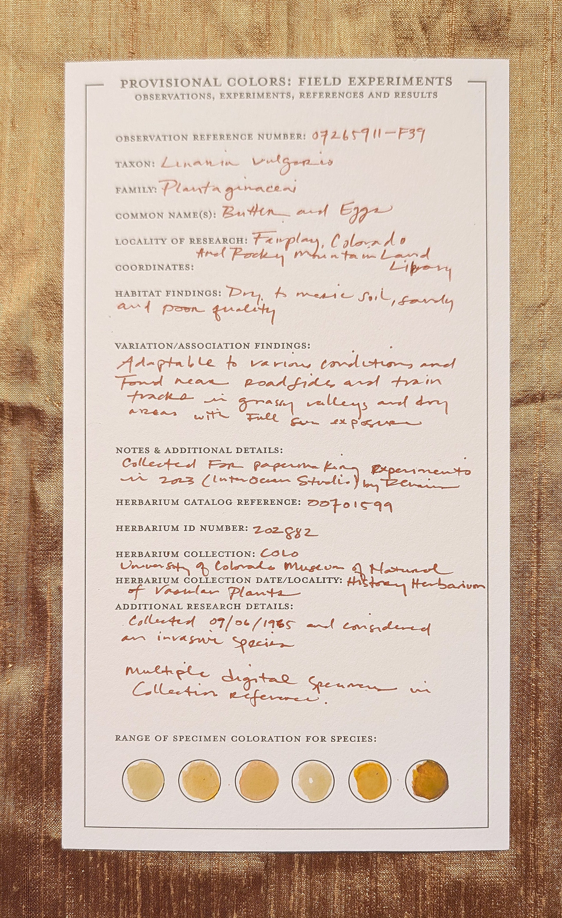 Letterpress color plant specimen card with fieldnotes.