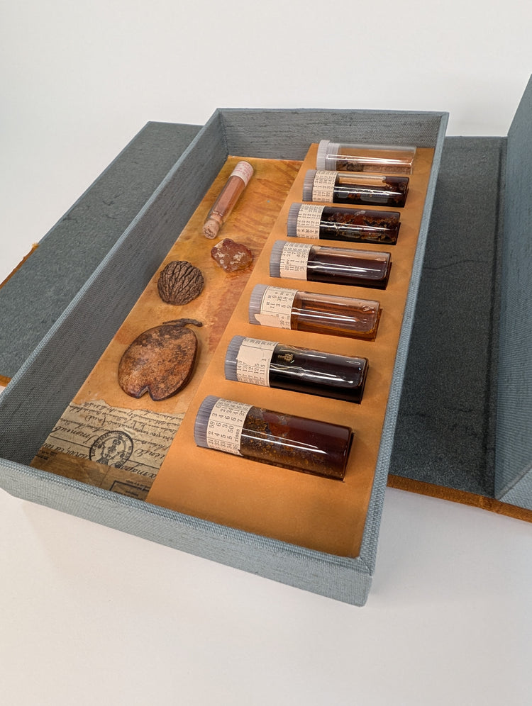 Ochre Color Experiments: Version 3 (2026)