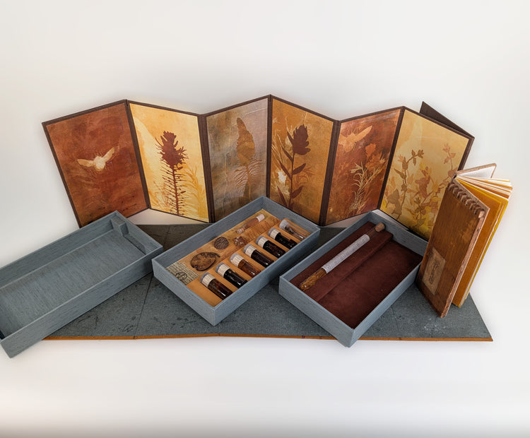 Ochre Color Experiments: Version 3 (2026)