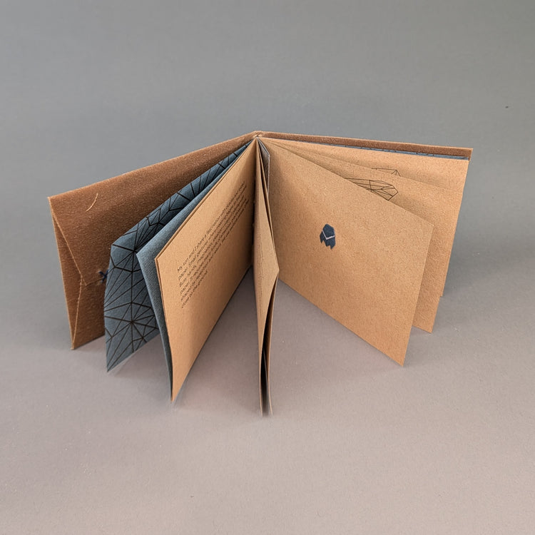 Cicadoidea: Cicada Explorations