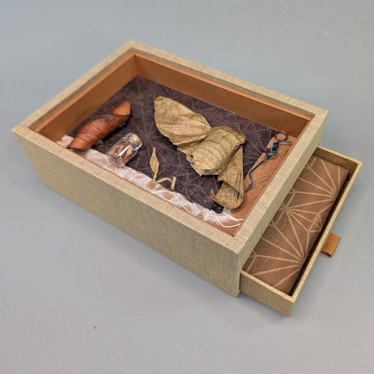 Cicadoidea: Cicada Explorations