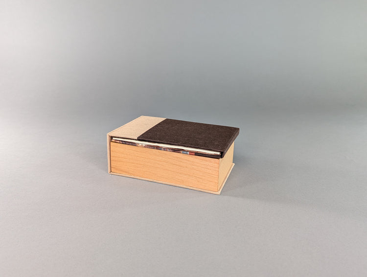 Curiosity Series: Charaxes jasius