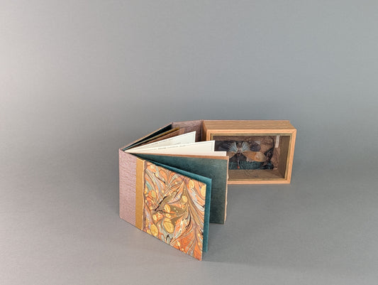 Curiosity Series: Pyrops pyrorhyncha