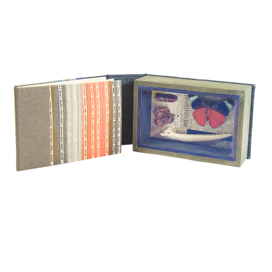 Curiosity Series: Panacea pola