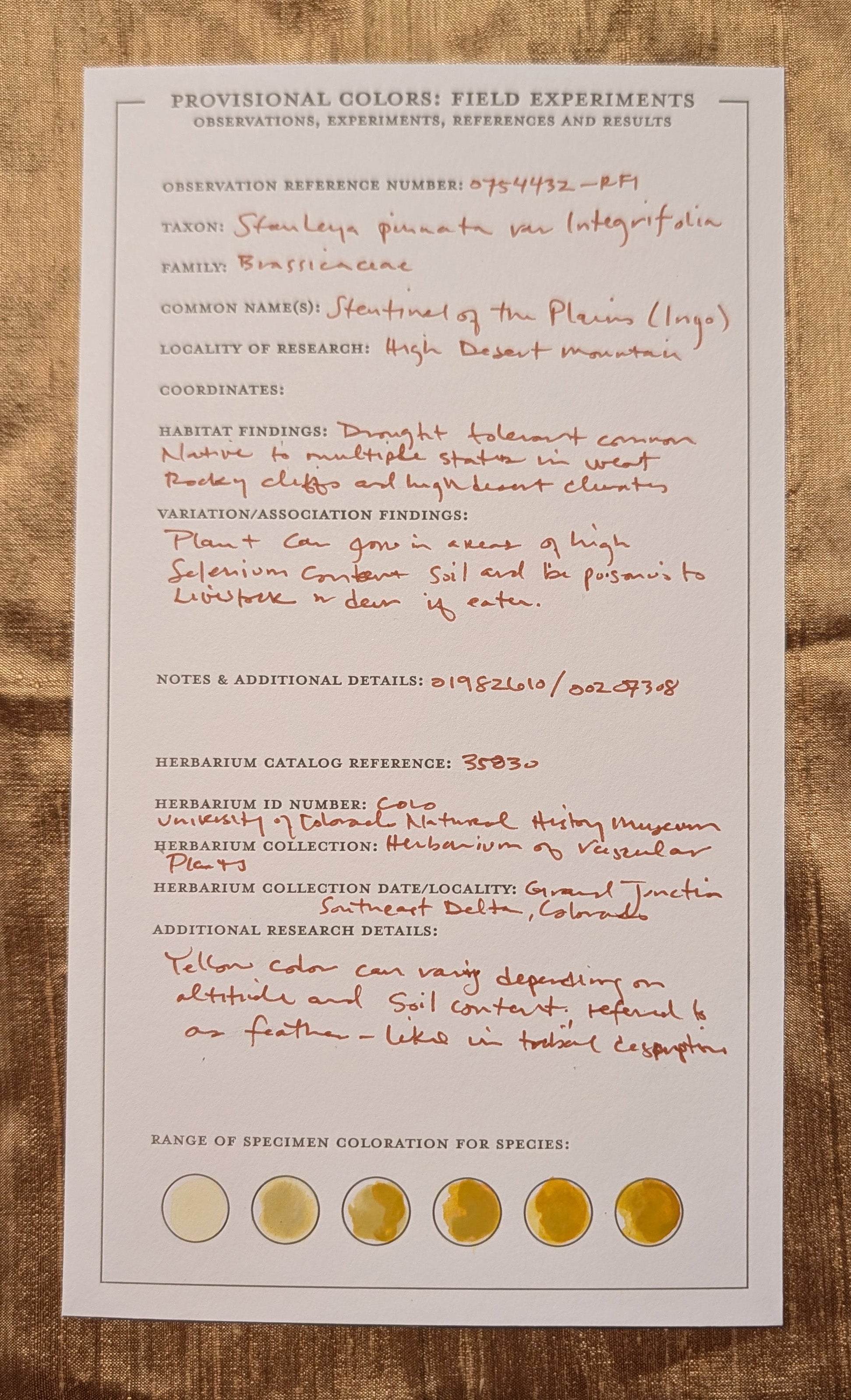 Letterpress color plant specimen card with fieldnotes.