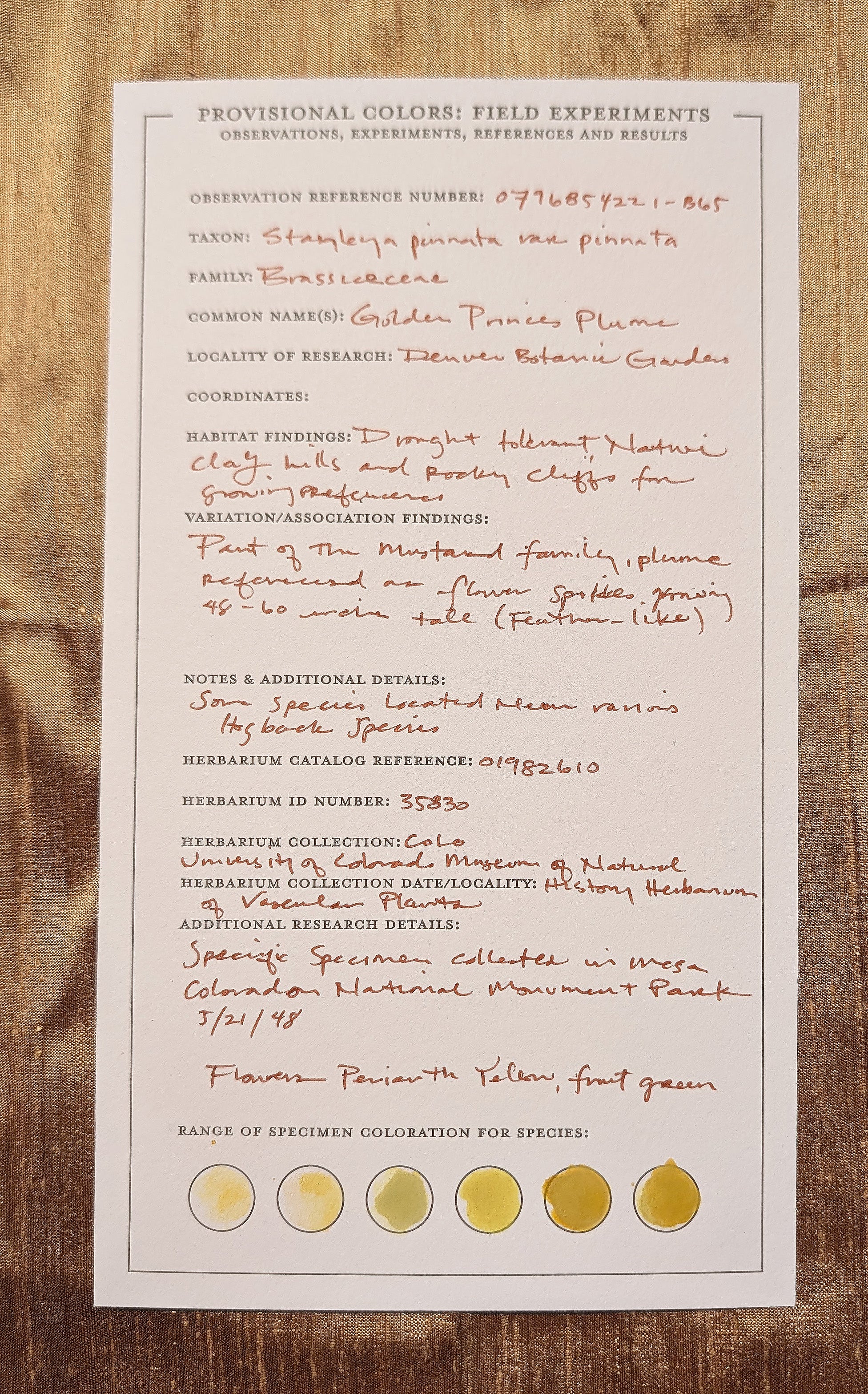 Letterpress color plant specimen card with fieldnotes.