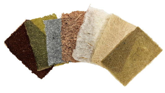 Papermaking with Local Plants | June 13-14, 2026