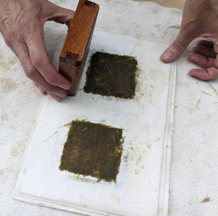 Papermaking with Local Plants | June 13, 2026