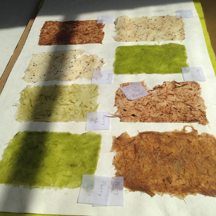 plant fiber papermaking 