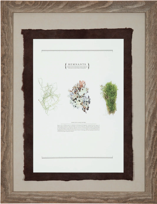 Remnants Specimen Prints