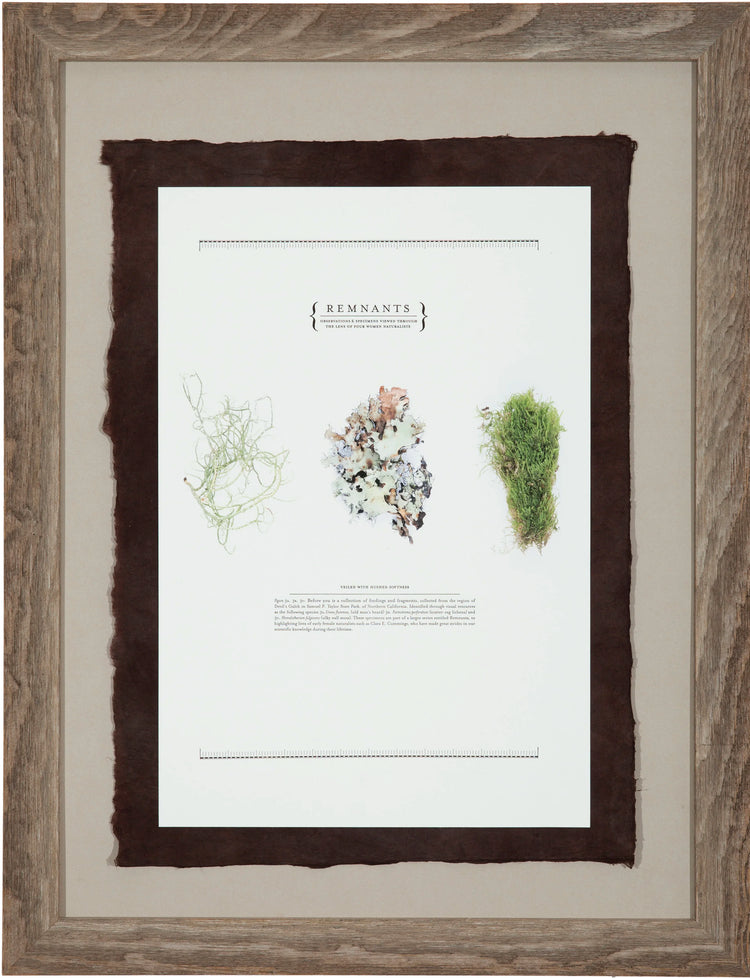 Remnants Specimen Prints