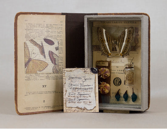 Cyrestis_strigata altered book