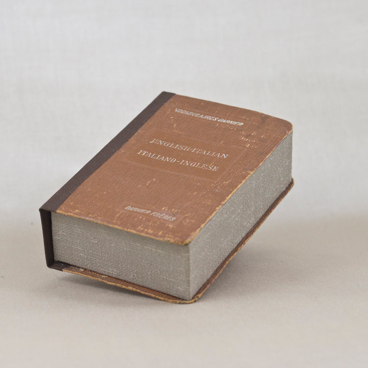 Specimen Series: Cyrestis strigata