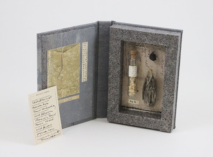 Miniature Specimen Box | Rain Writers  | December 3-5, 2026