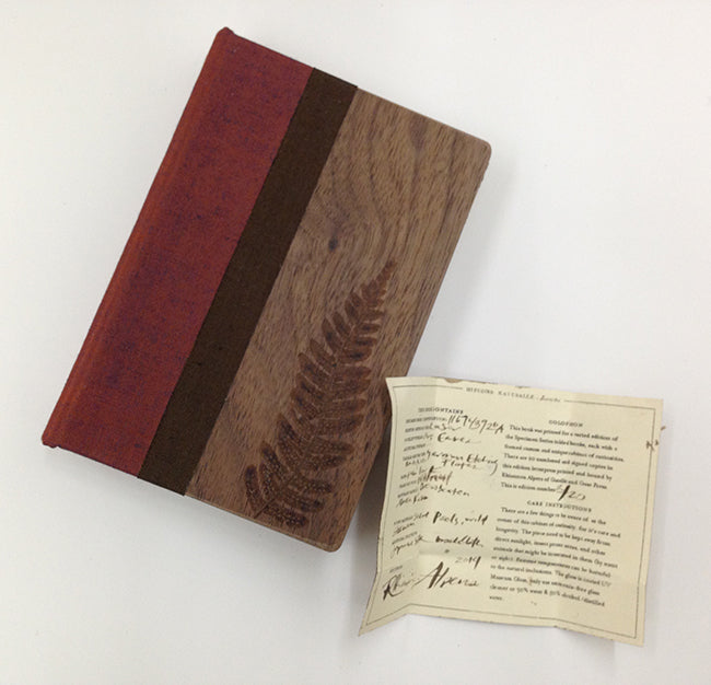 Miniature Specimen Box | Rain Writers  | December 3-5, 2026