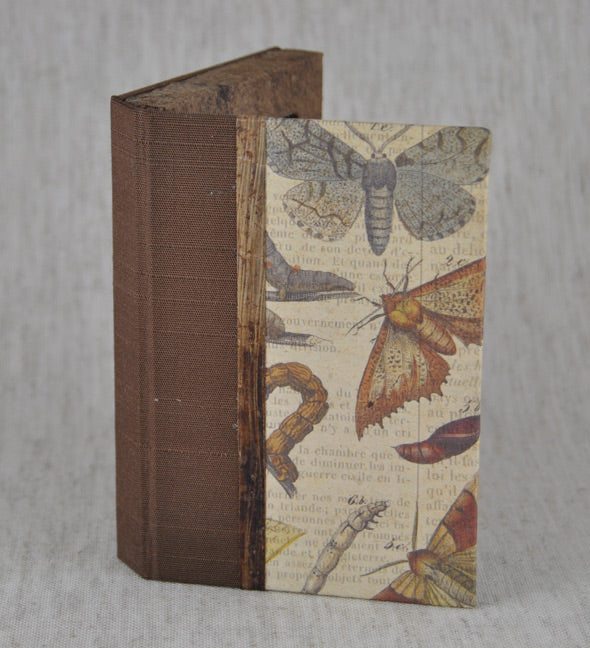 Miniature Specimen Box | Rain Writers  | December 3-5, 2026