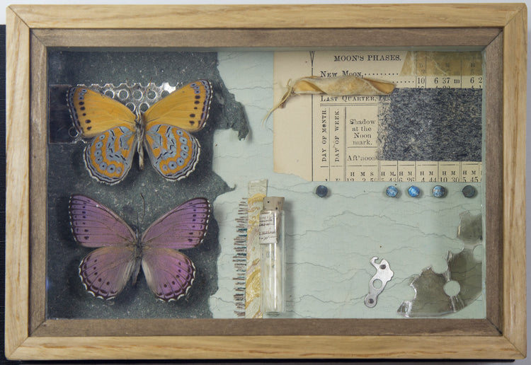 Curiosity Series: Marbled Mavens (custom commission piece)