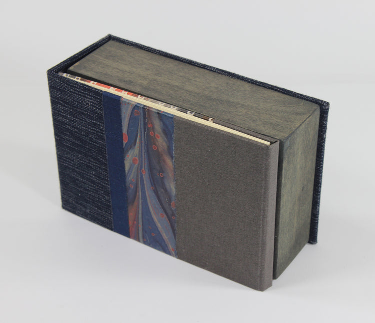 Curiosity Series: Panacea pola