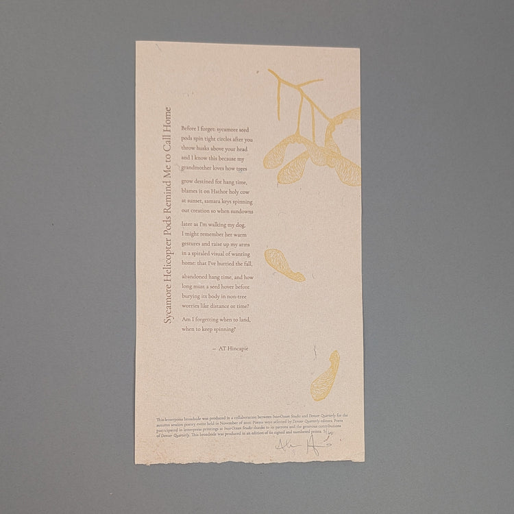 Sycamore Helicopter Pods Remind Me to Call Home by AT Hincapie